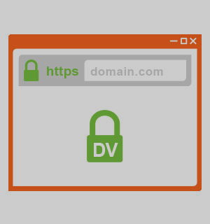 Domain Validated SSL services